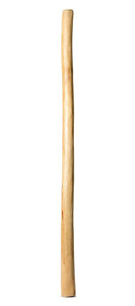 Natural Finish Didgeridoo (TW1443)